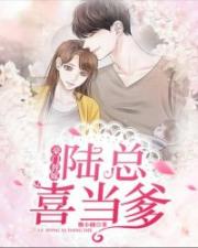 陆总独宠替嫁妻